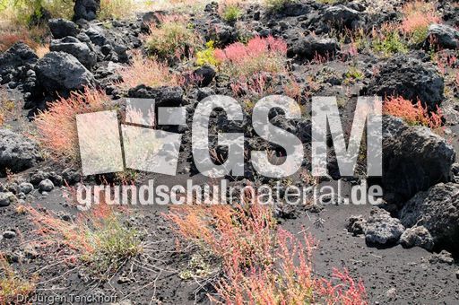 Sizilien (450 von 565).jpg